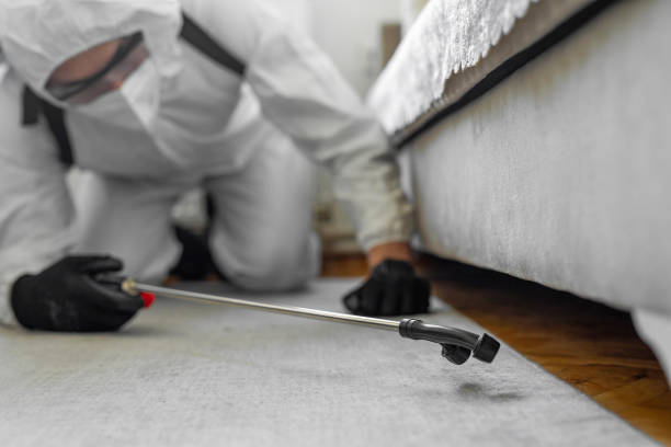 Professional Termite Control technician working in Long Neck, DE