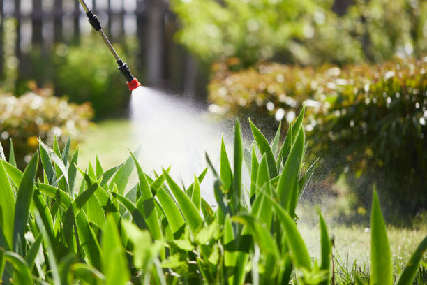 24/7 Emergency Termite Control experts in Long Neck, DE