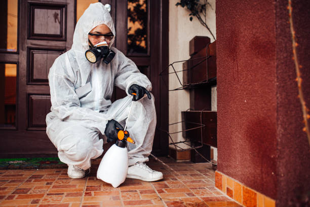 Reliable Termite Control contractor in Long Neck, DE by Nex Pest Control